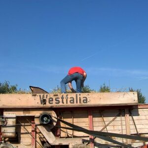 DSCF8091.RAF