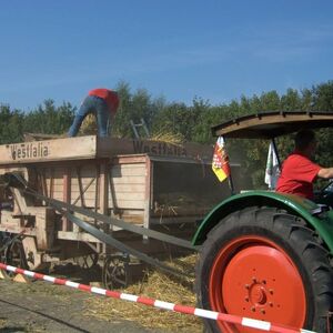 DSCF8102.RAF
