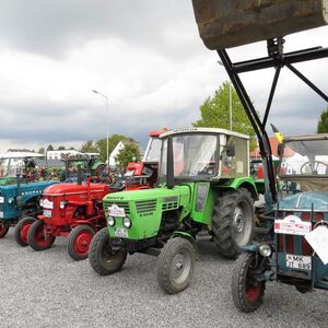 IMG 0143 1000