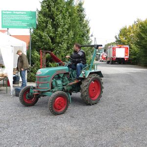IMG 0169 1000
