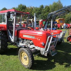 IMG 1390 1000