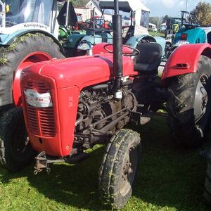 Img 005