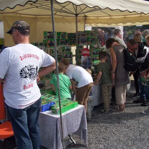 Img 061